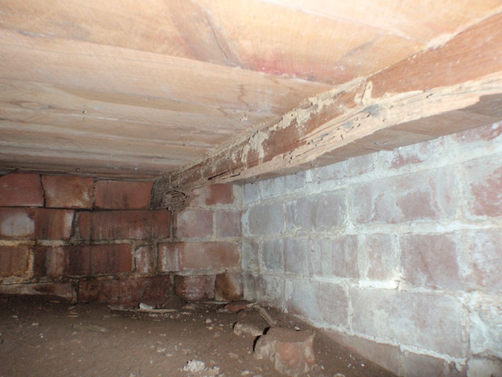 Why we need Termite Inspections?